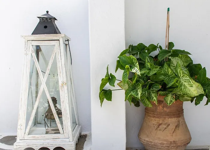 Katerina Platys Gialos (Mykonos)