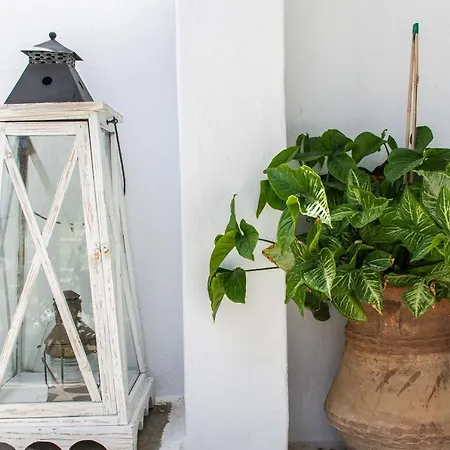 Katerina 普拉迪斯亚罗斯