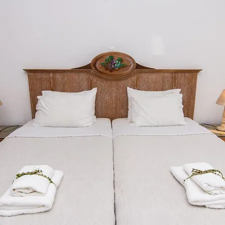 Katerina * 普拉迪斯亚罗斯